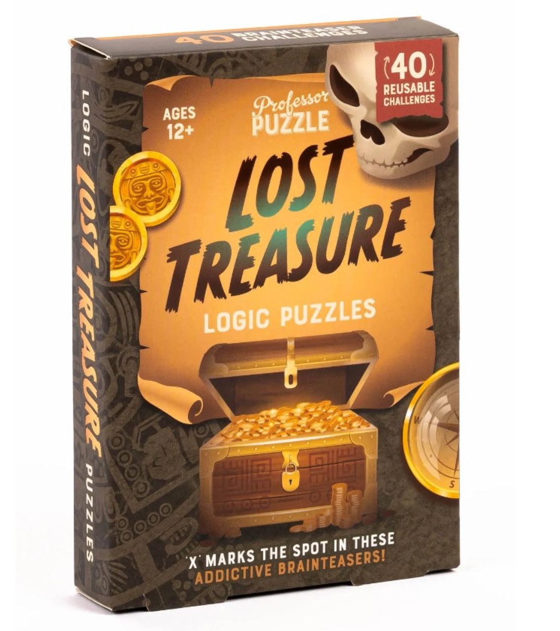 Lost Treasure Logic Puzzles