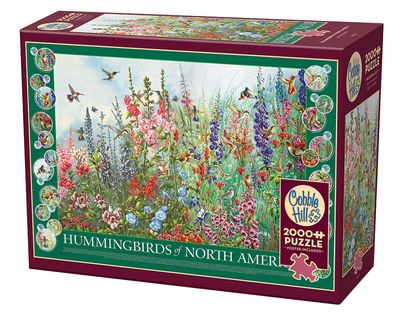 2000PC: Hummingbirds of North America