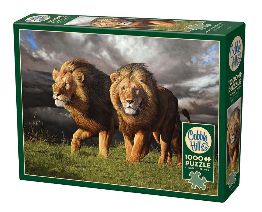 1000pc: Approaching Storm