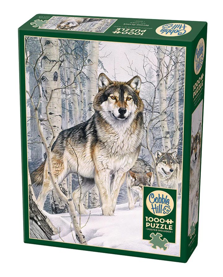 1000pc: Second Glance