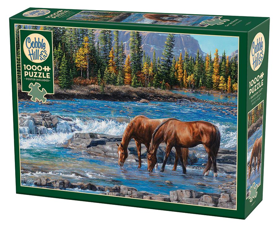 1000pc: On the Rocks