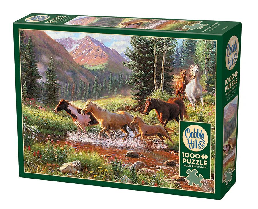 1000pc: Mountain Thunder