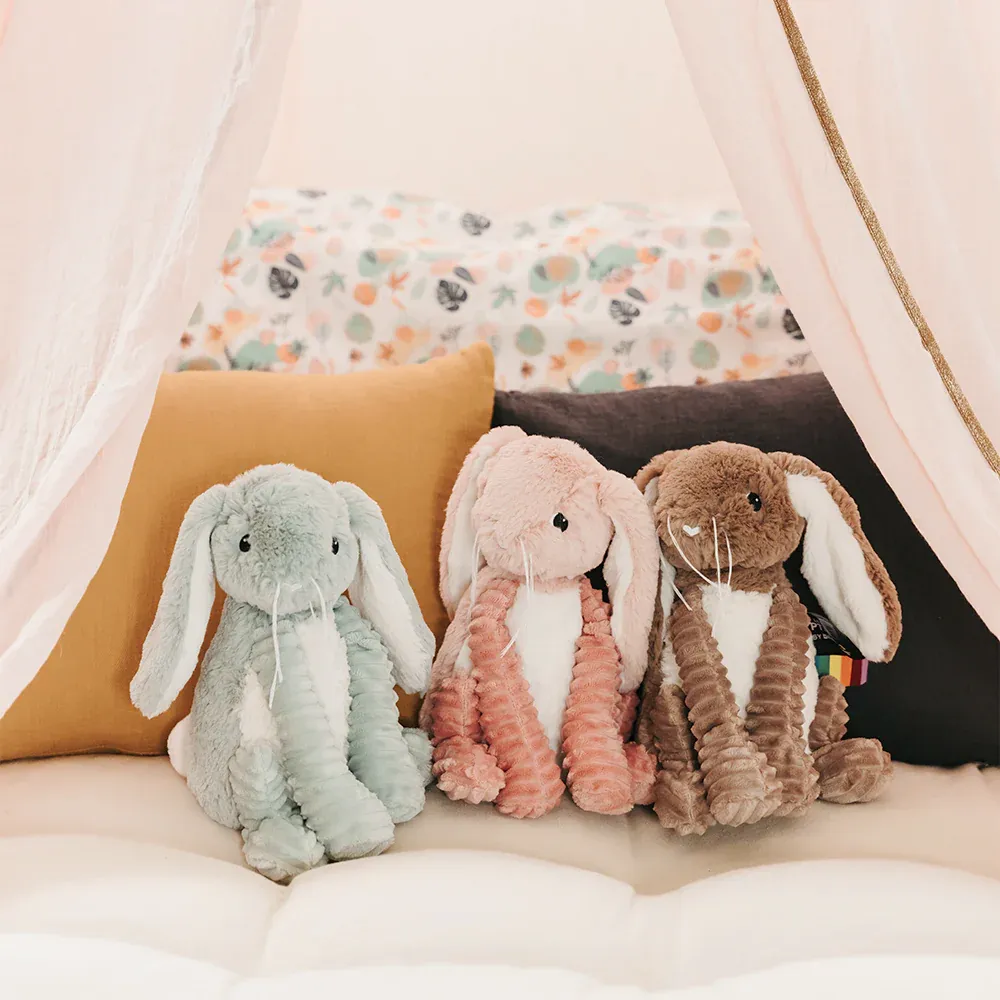 Toudou the Bunny -