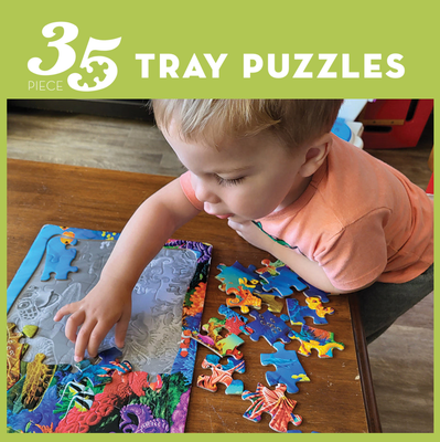 Tray Puzzles