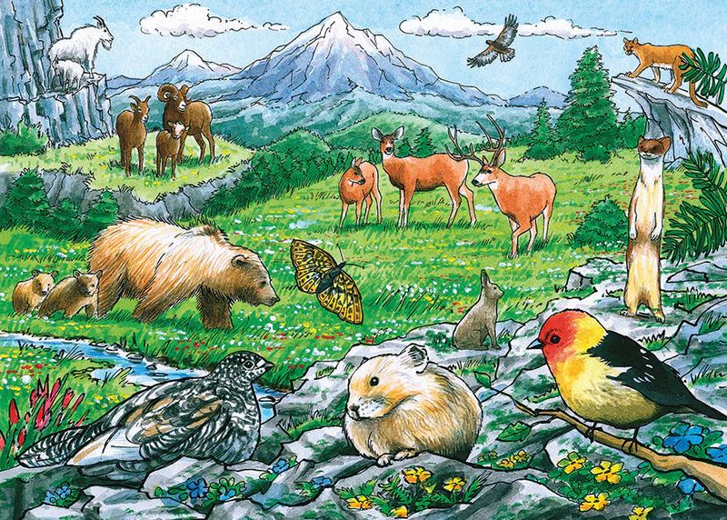 35pc: Tray Puzzle - Rocky Mountain Wildlife