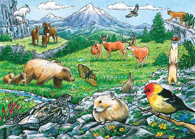 35pc: Tray Puzzle - Rocky Mountain Wildlife