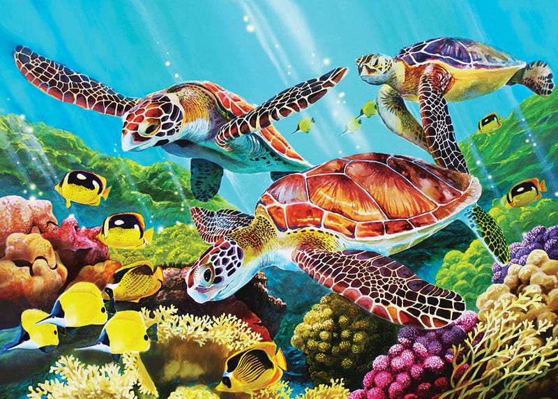 35pc: Tray Puzzle - Molokini Sea