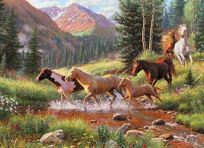 35pc: Tray Puzzle - Horse Stream