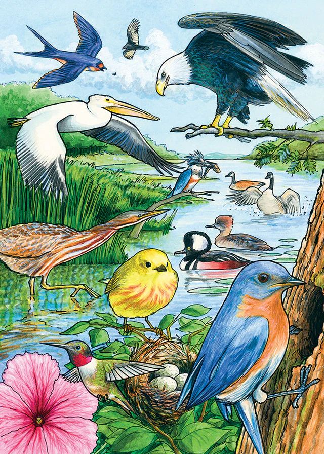 35pc: Tray Puzzle - North American Birds