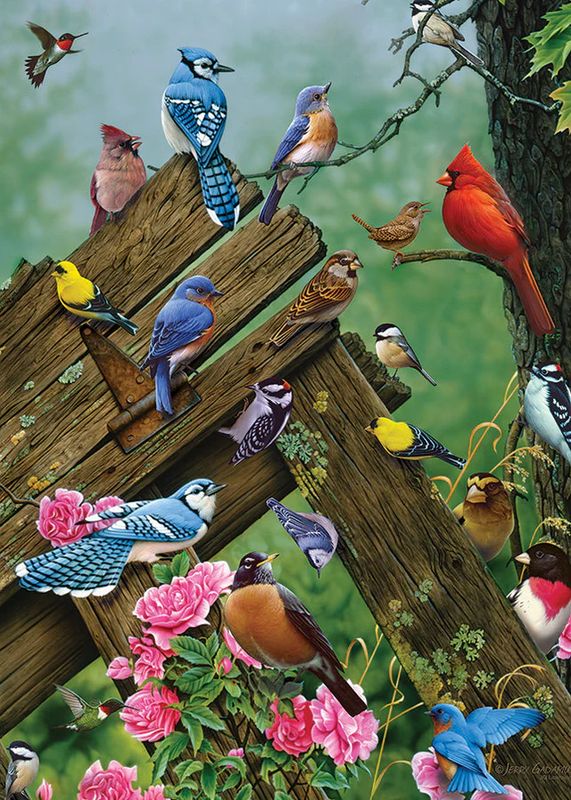 35pc: Tray Puzzle - Wildbird Gathering