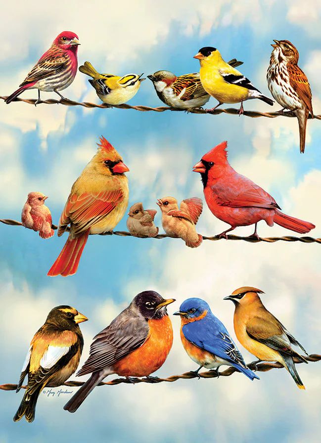 35pc: Tray Puzzle - Blue Sky Birds