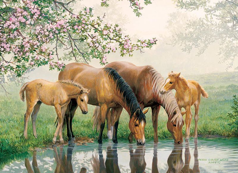 35pc: Tray Puzzle - Watering Hole