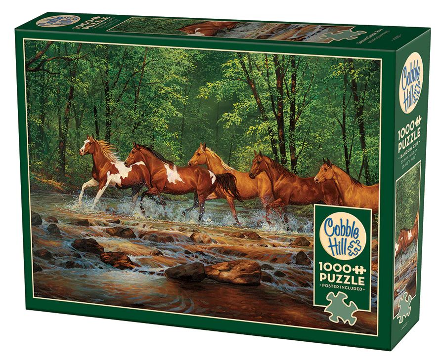 1000pc: Spring Creek Run