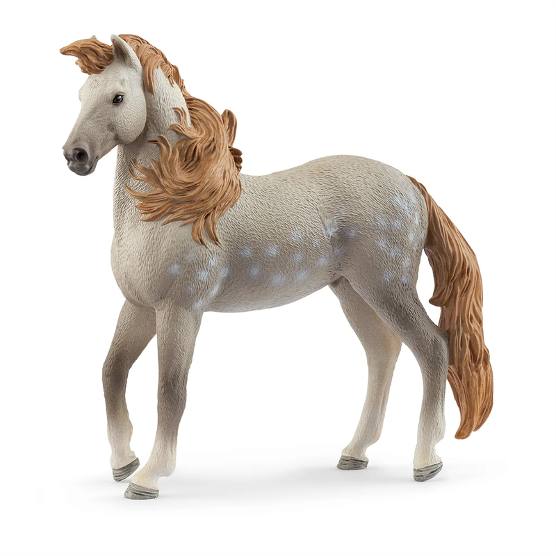 Horse Club - Andalusian Stallion 2025