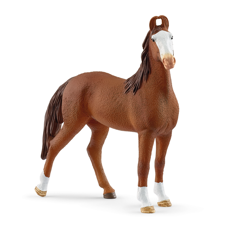 Horse Club - Marwari Mare