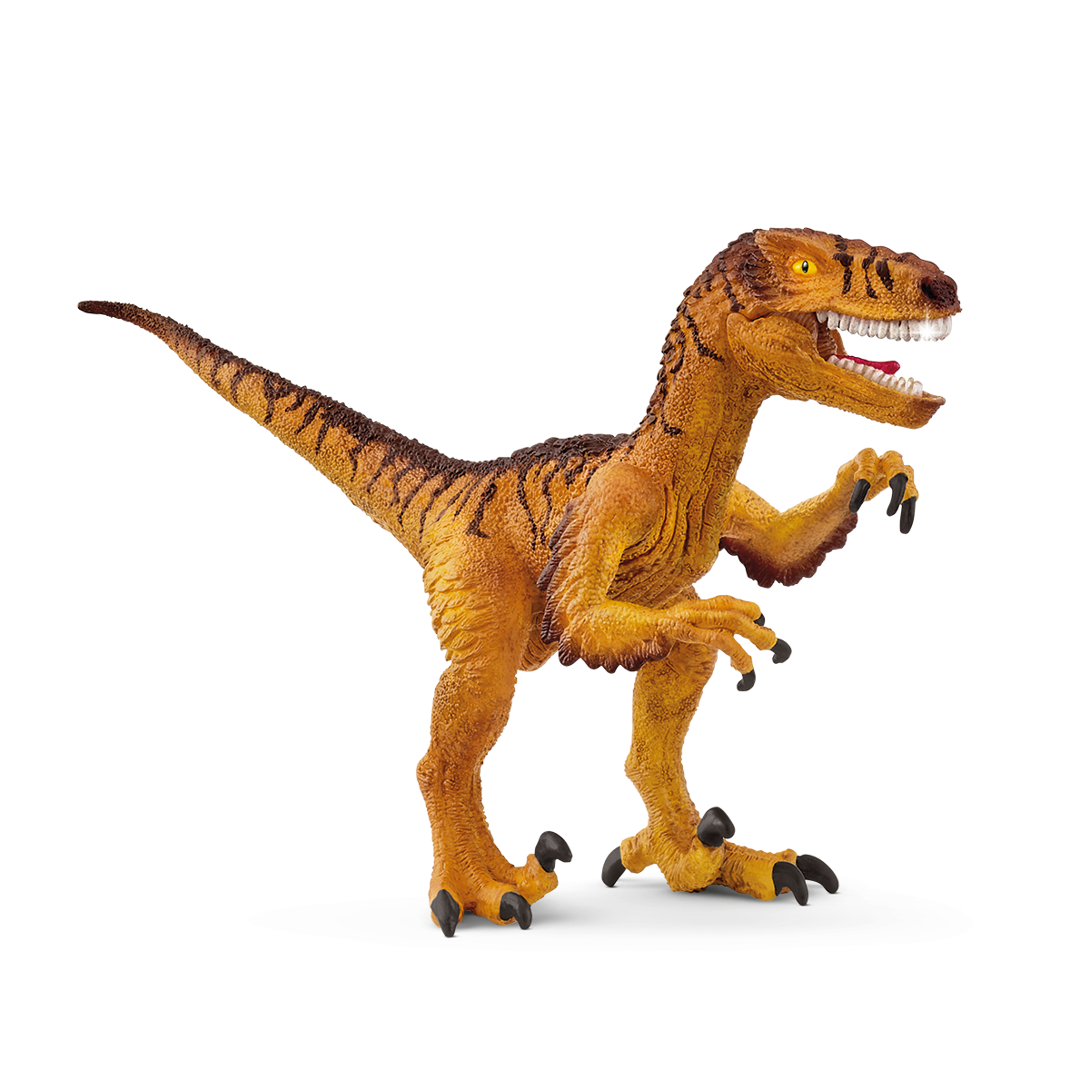 Dinosaurs - Velociraptor