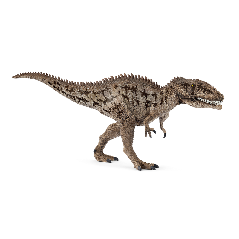 Dinosaurs - Carcharodontosaurus