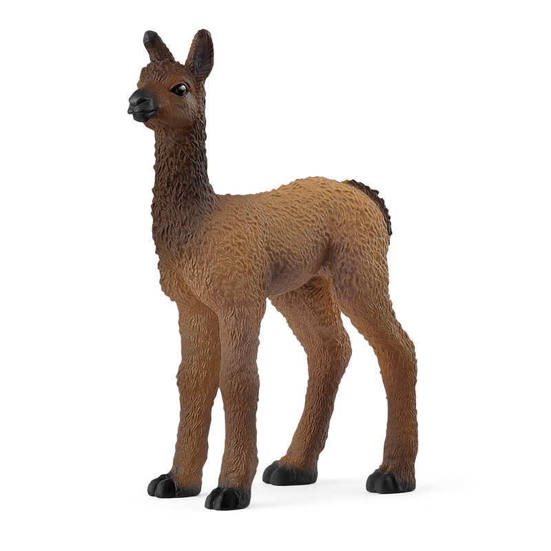 Farm World - Llama Foal