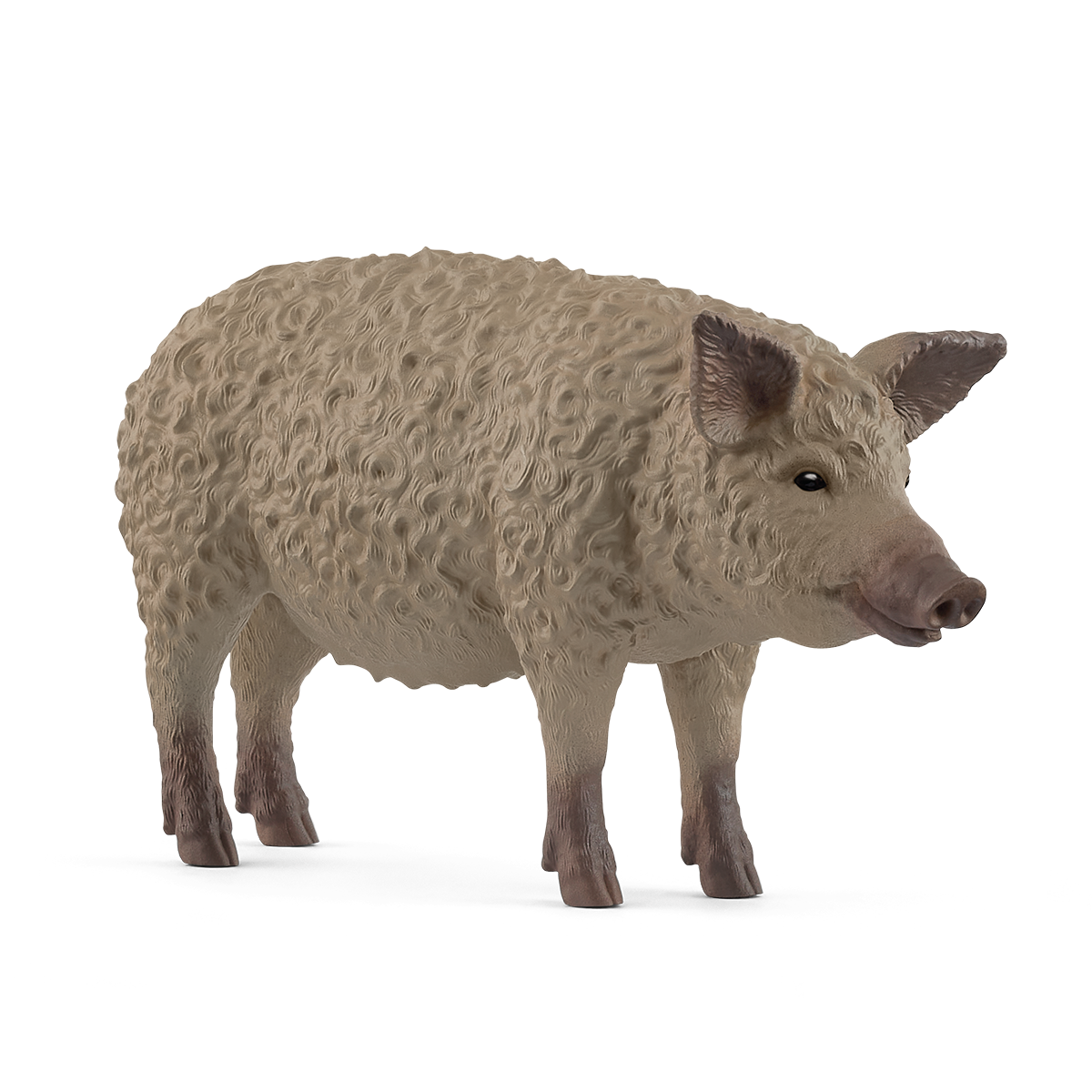 Farm World - Mangalica Pig