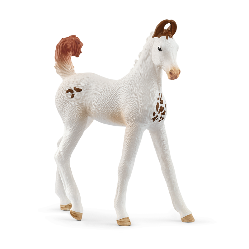 Horse Club - Marwari Foal