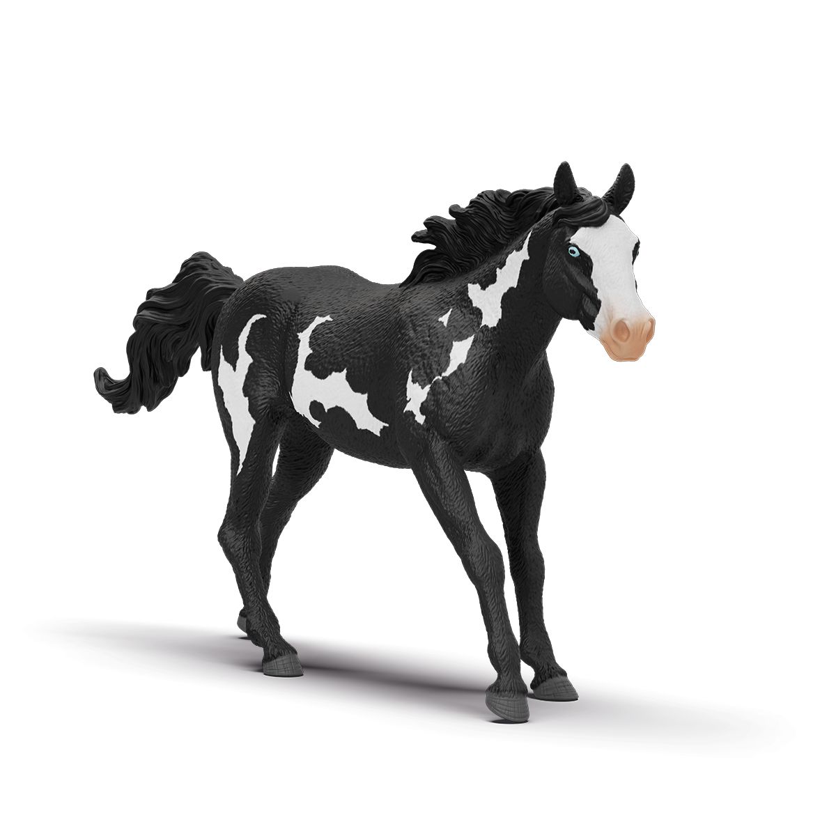 Horse Club - Paint Horse Gelding 2025