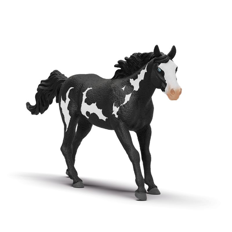 Horse Club - Paint Horse Gelding 2025