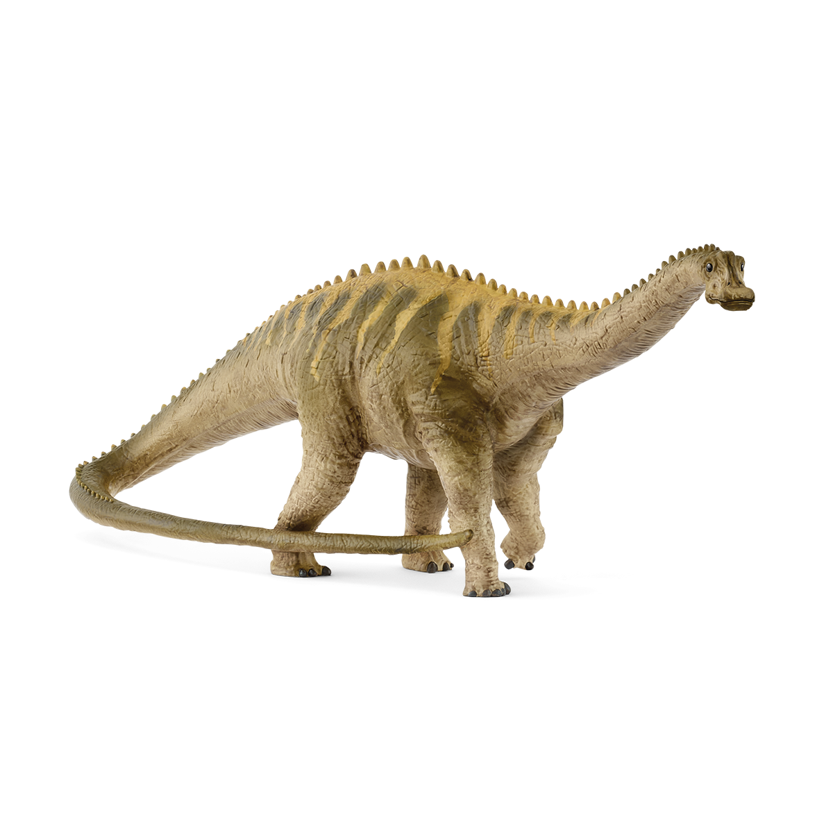 Dinosaurs - Diplodocus