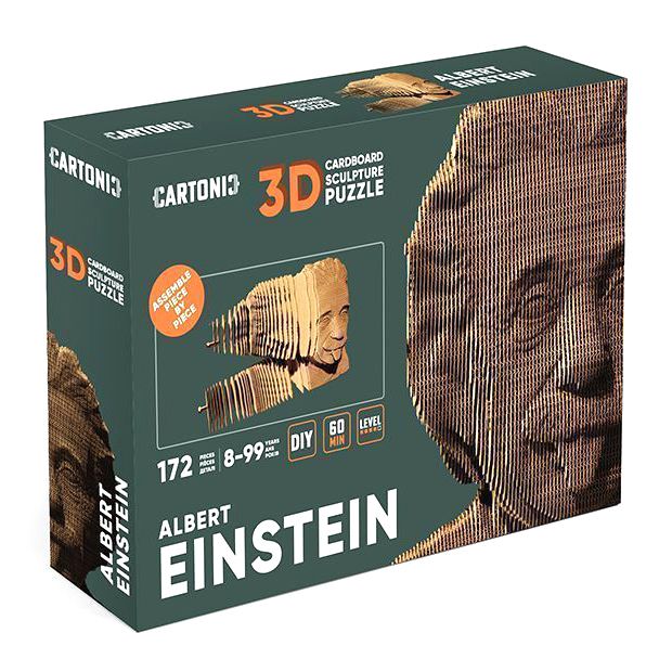 3D Cardboard Puzzle - Albert Einstein