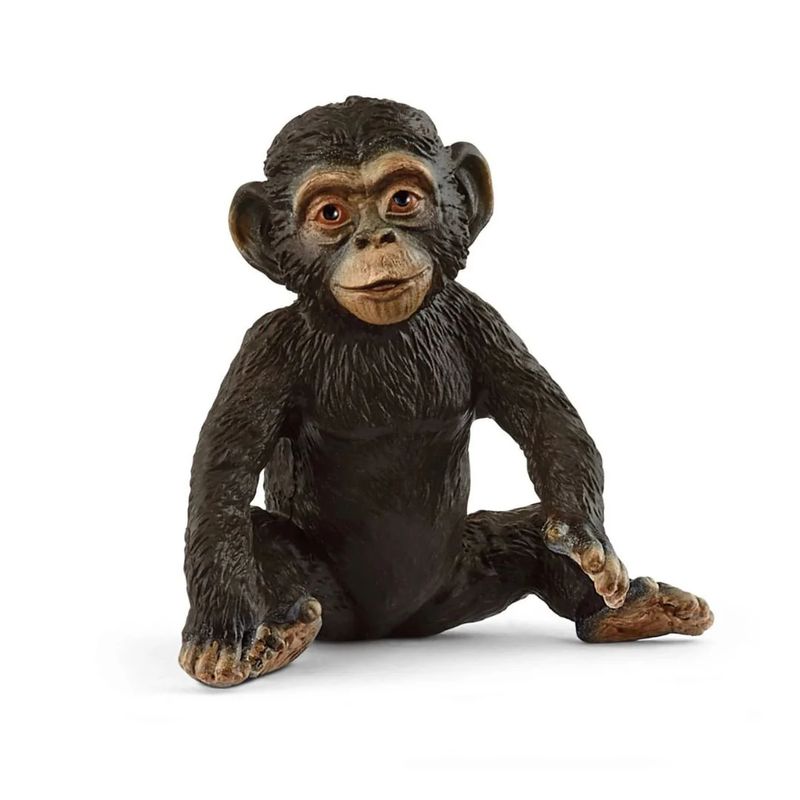 Wild Life - Chimpanzee Cub