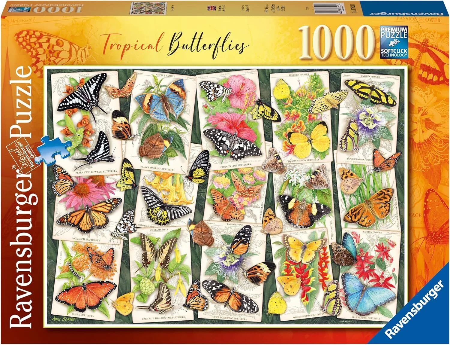 1000pc: Tropical Butterflies
