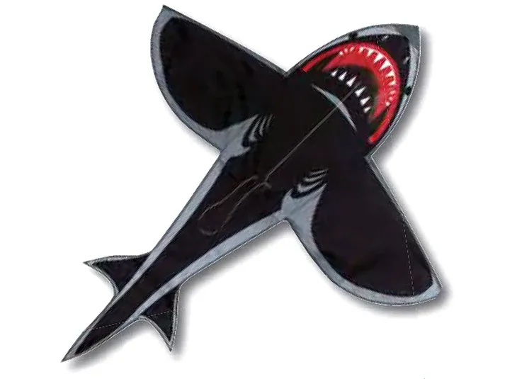 Kite - Sea Hunter 4&#39;