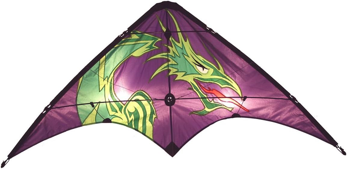 Kite - Learn to Fly Dragon 48&quot;