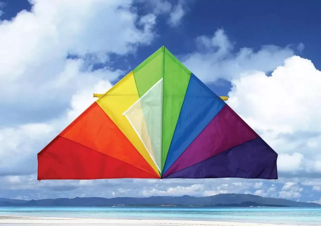 Delta Kite - 55&quot; Classic