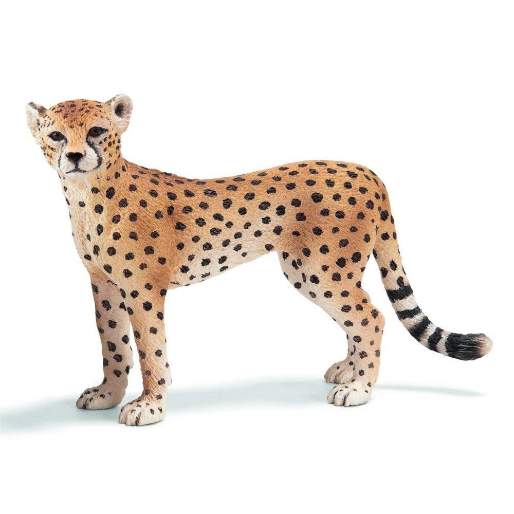 Schleich Collection - African Cheetah