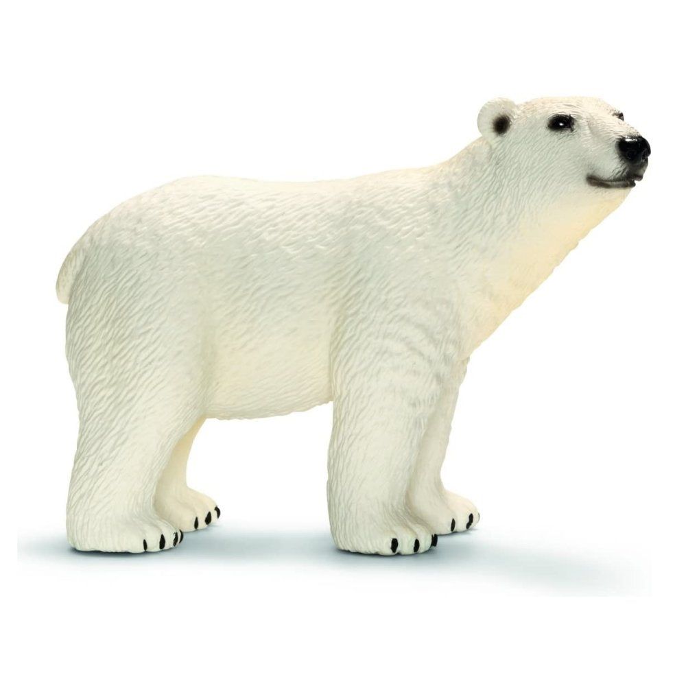 Schleich Collection - Polar Bear