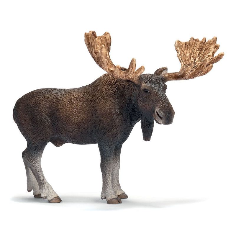 Schleich Collection - Moose