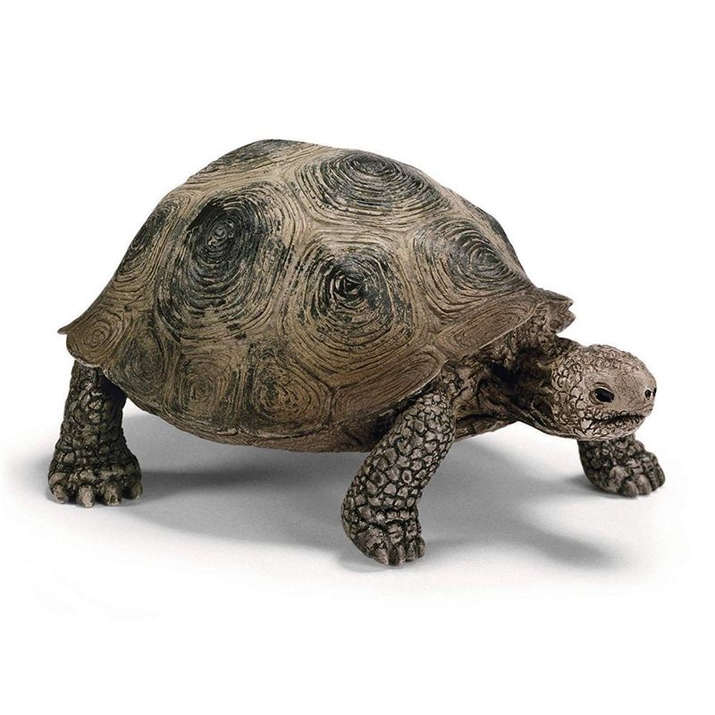 Schleich Collection - Tortoise