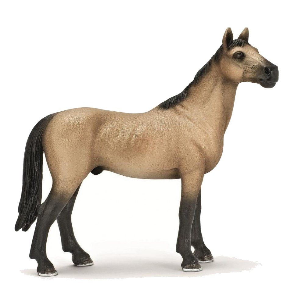 Schleich Collection - Akhal-Teke Stallion