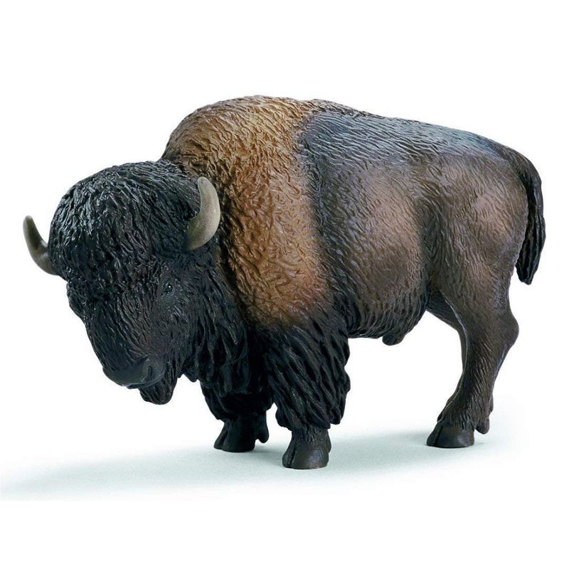 Schleich Collection - American Bison