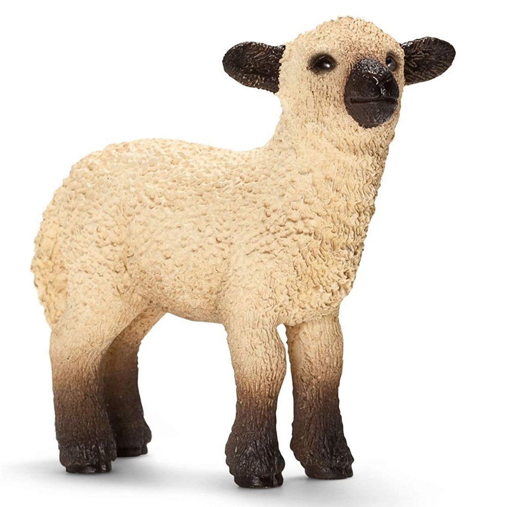 Schleich Collection - Shropshire Lamb