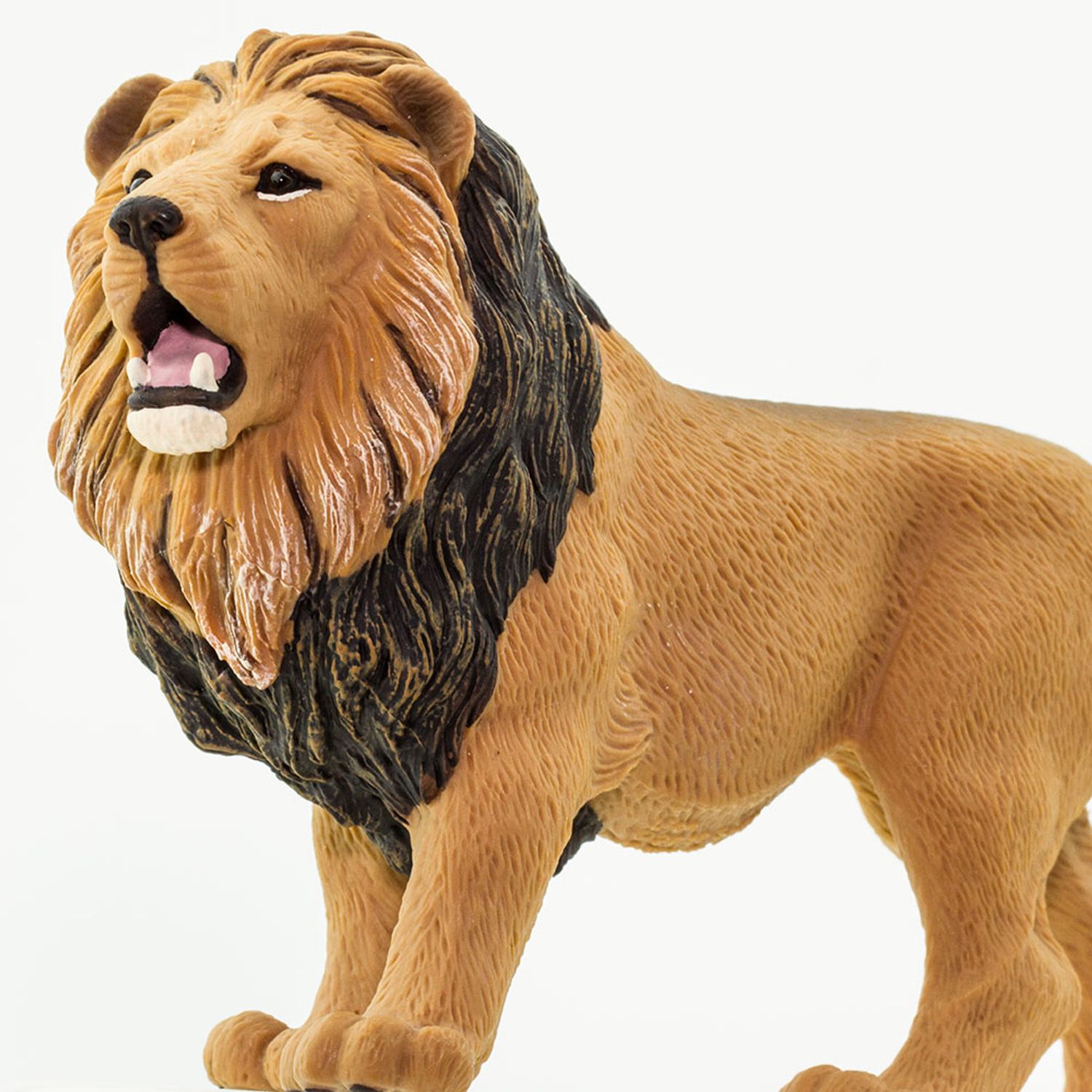 Safari LTD Collection - Lion