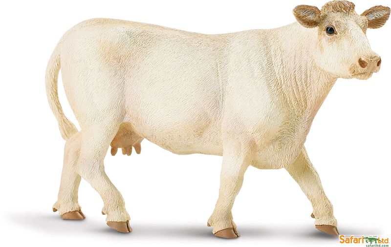 Safari LTD Collection - Charolais Cow