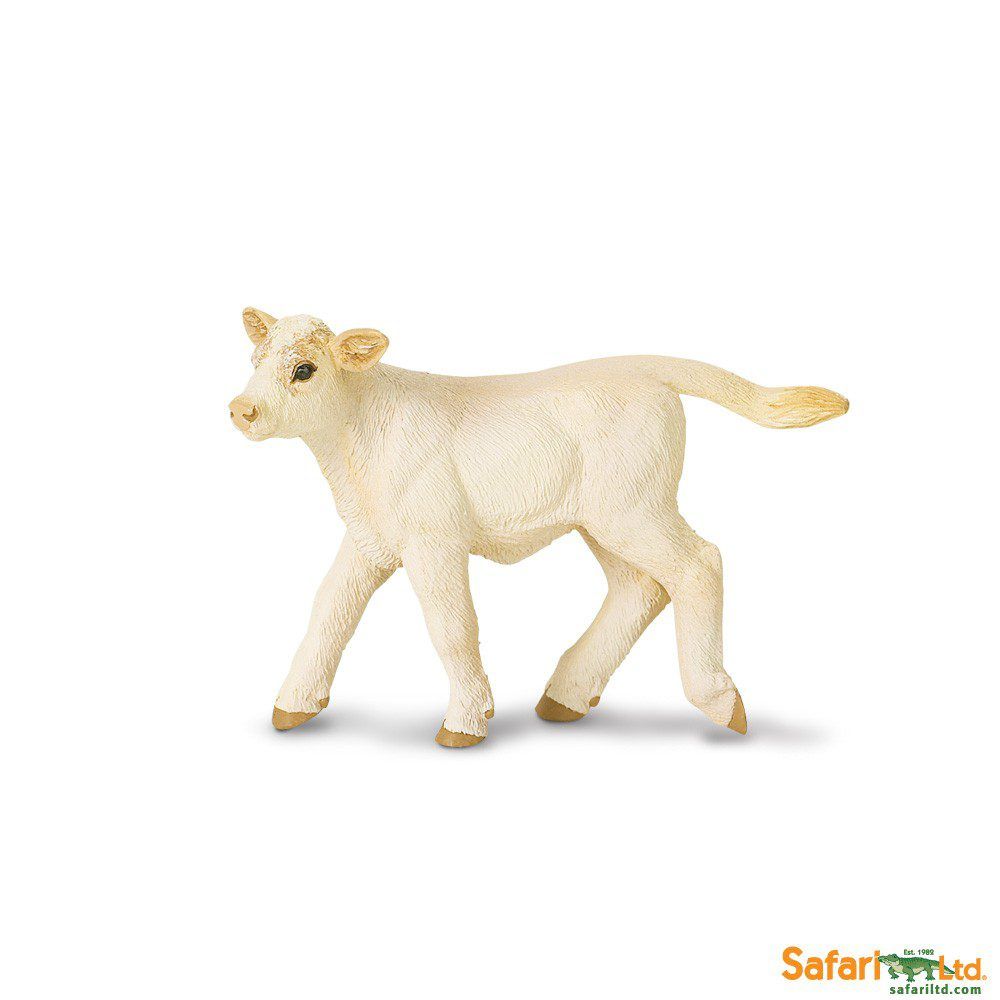 Safari LTD Collection - Charolais Calf