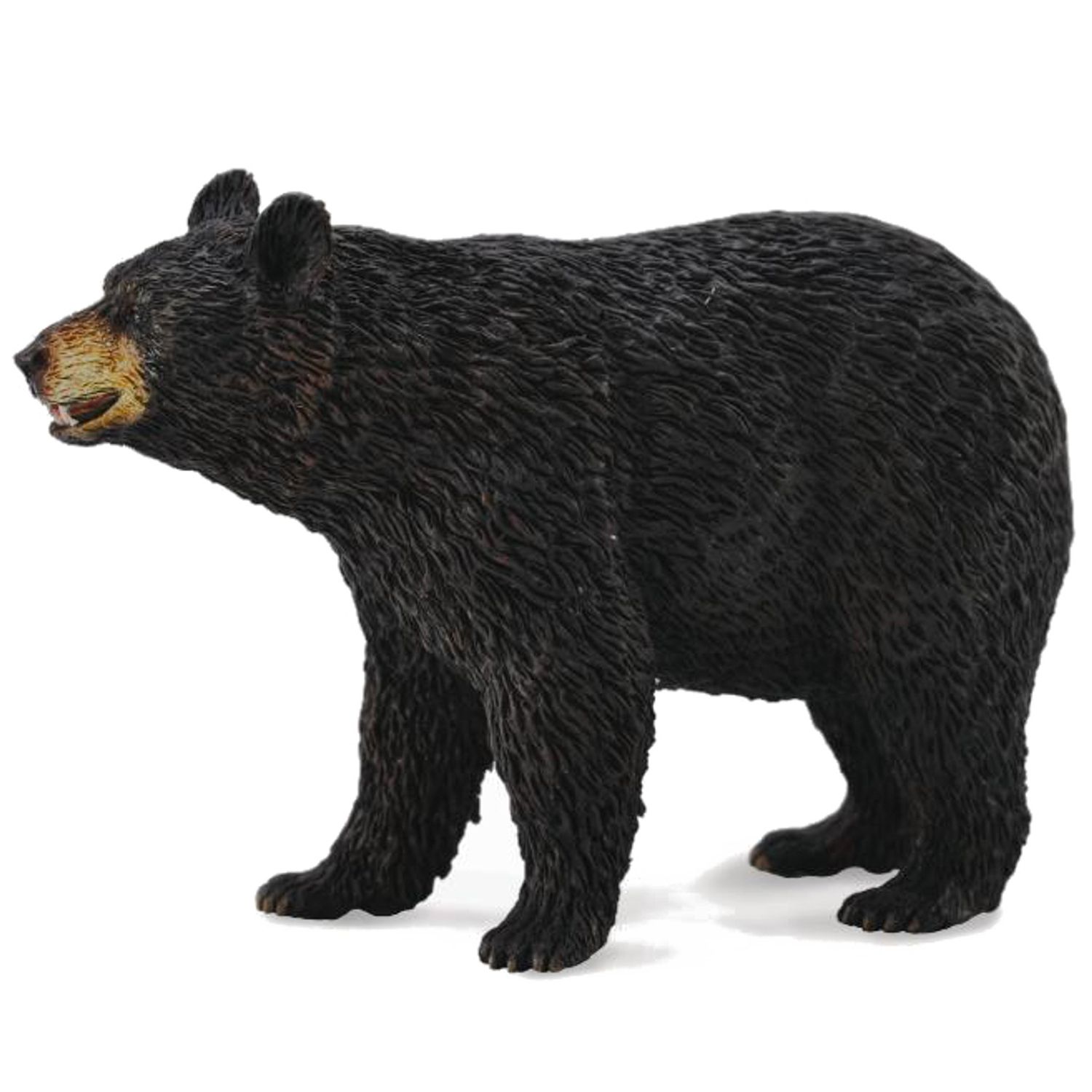 Collect-A Collection - Black Bear