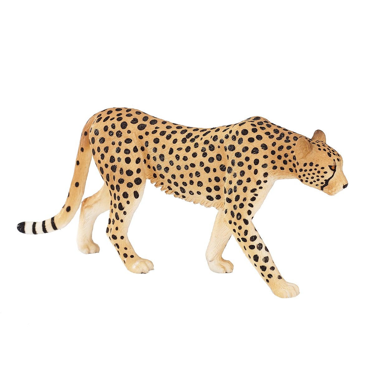 Mojo Collection - Cheetah