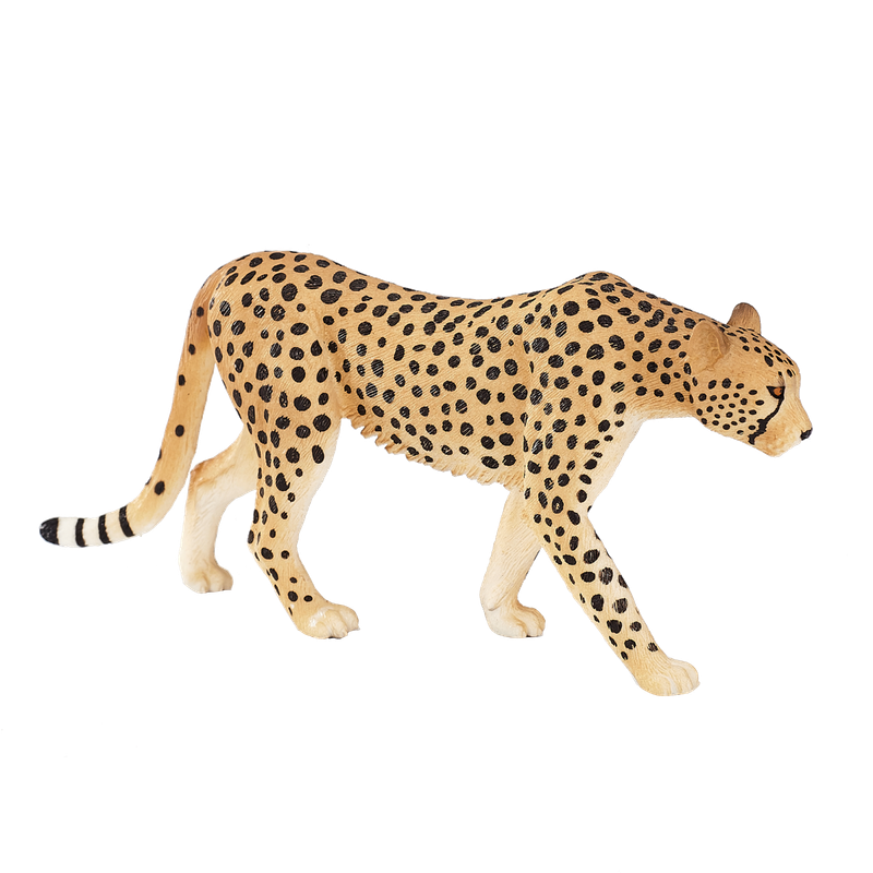 Mojo Collection - Cheetah