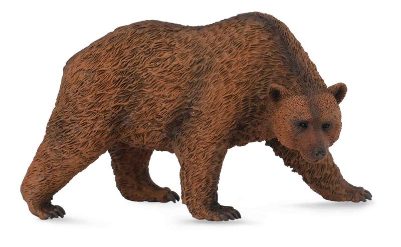 Collect-A Collection - Brown Bear