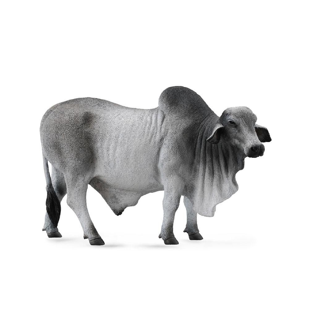 Collect-A Collection - Brahman Bull