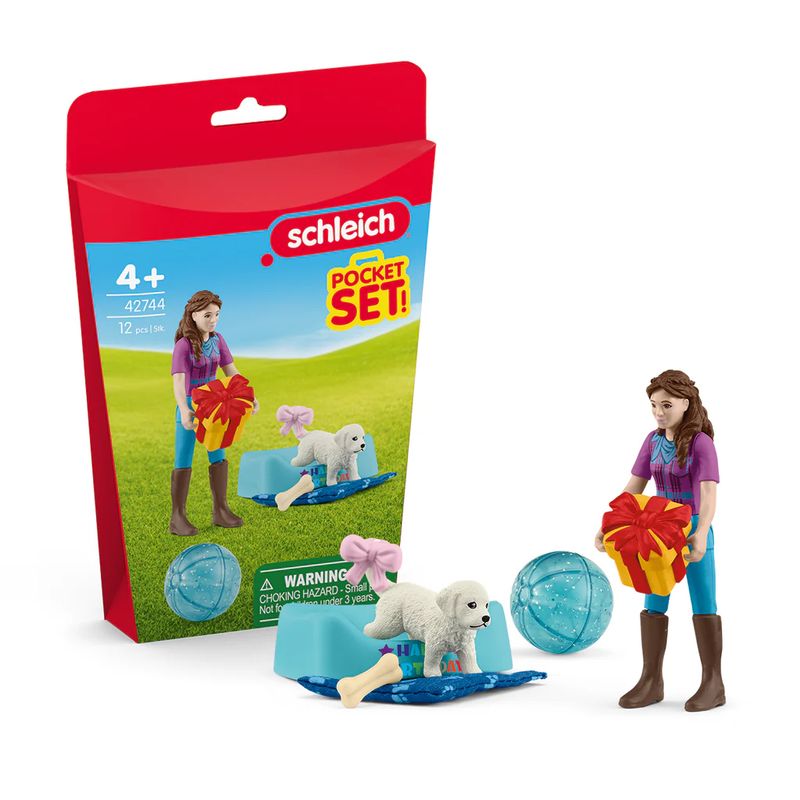 Pocket Set - Birthday Party with Lisa