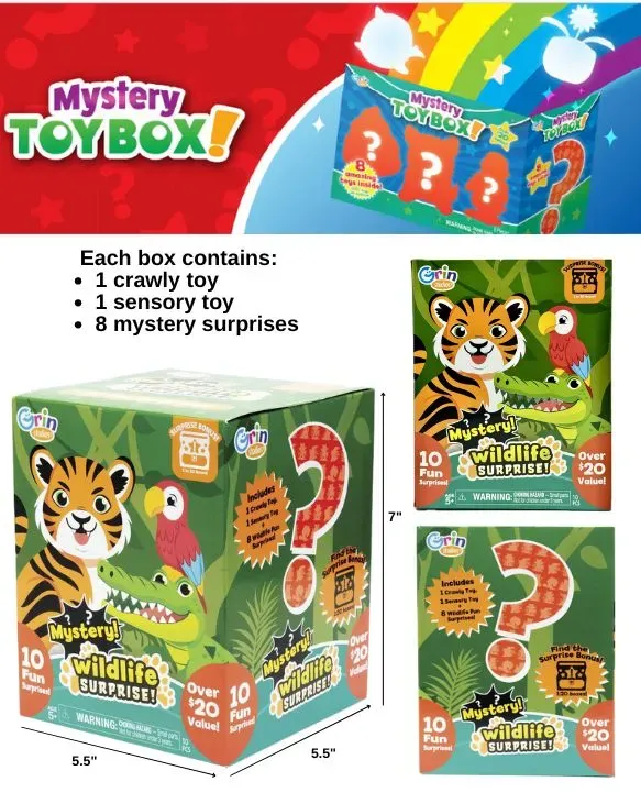 Mystery Toy Box